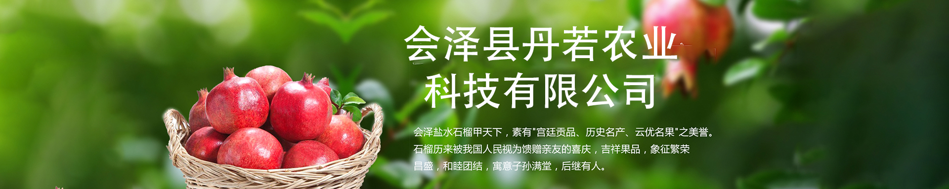 幻灯片一